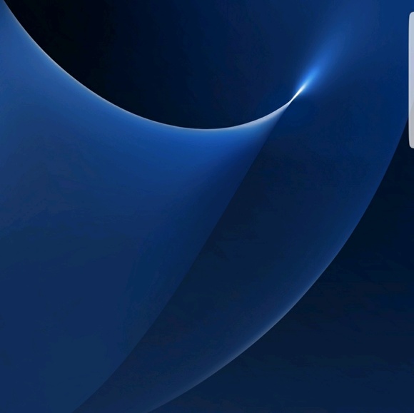 Meet your Posher, Rennie - Picture 1 of 1